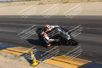 media/Nov-12-2023-SoCal Trackdays (Sun) [[5d1fba4e7d]]/Turn 14 Inside (2pm)/